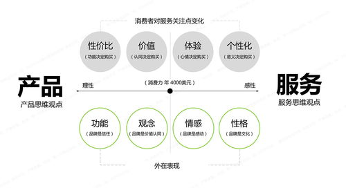 从用户行为学洞察服务设计 集创堂创始人慈思远谈数字内容制作服务